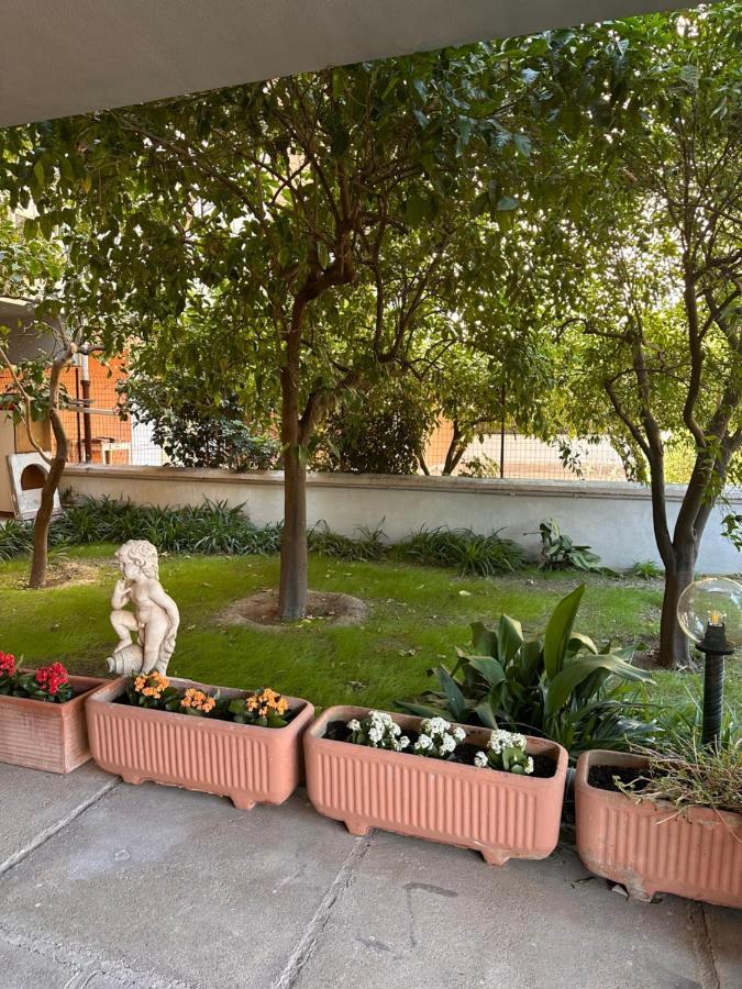 Ajoaolbia B&B Ngoại thất bức ảnh