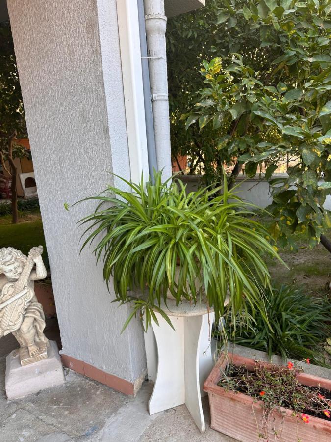 Ajoaolbia B&B Ngoại thất bức ảnh